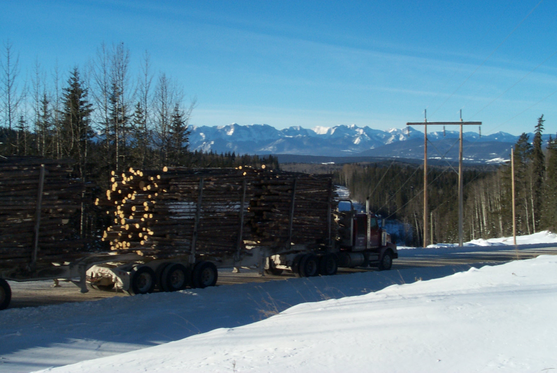 Logging Software