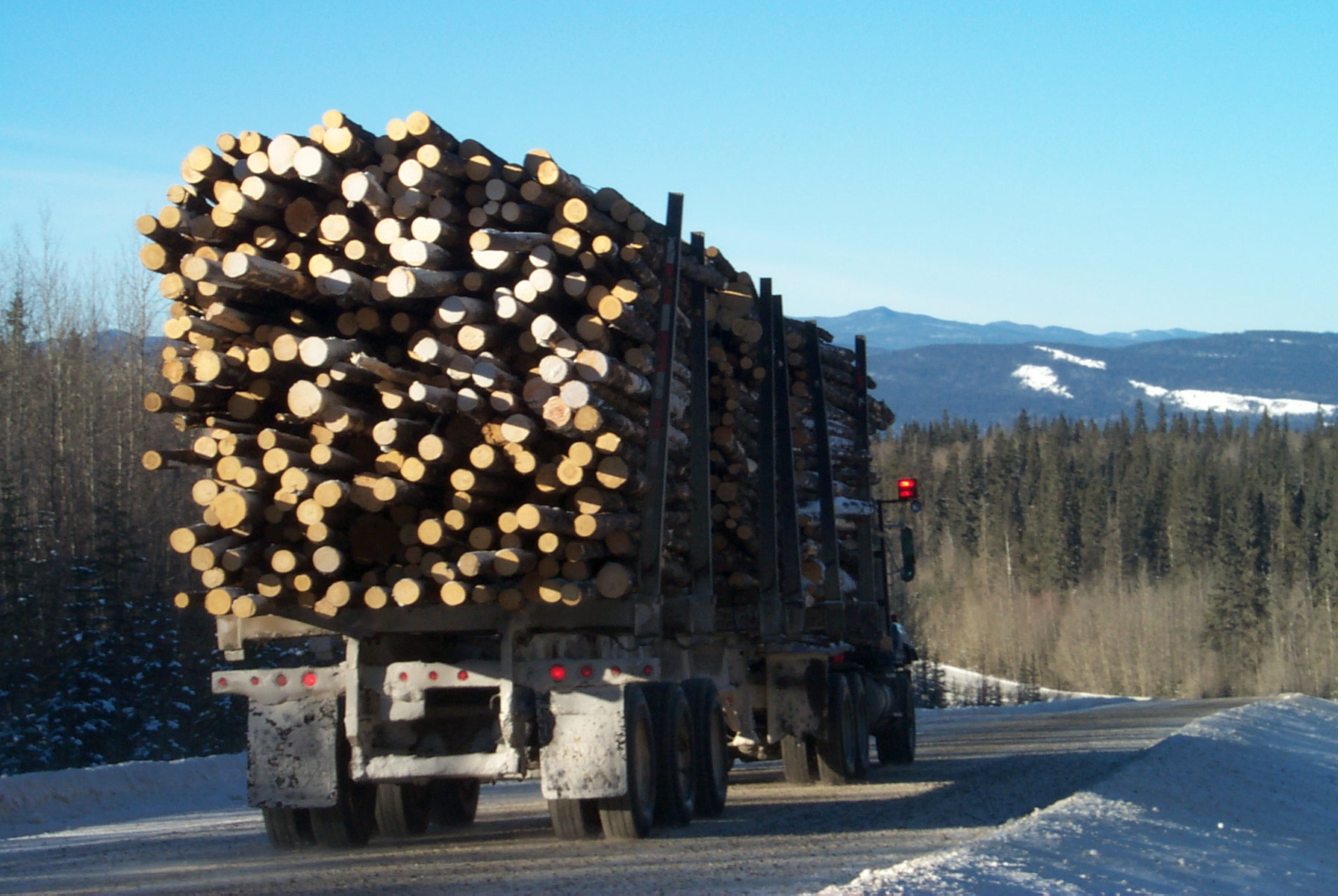 Logging Data Software